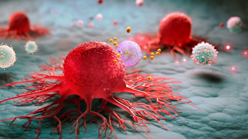 Immunotherapy for cancer causes immune cells to attack a tumor