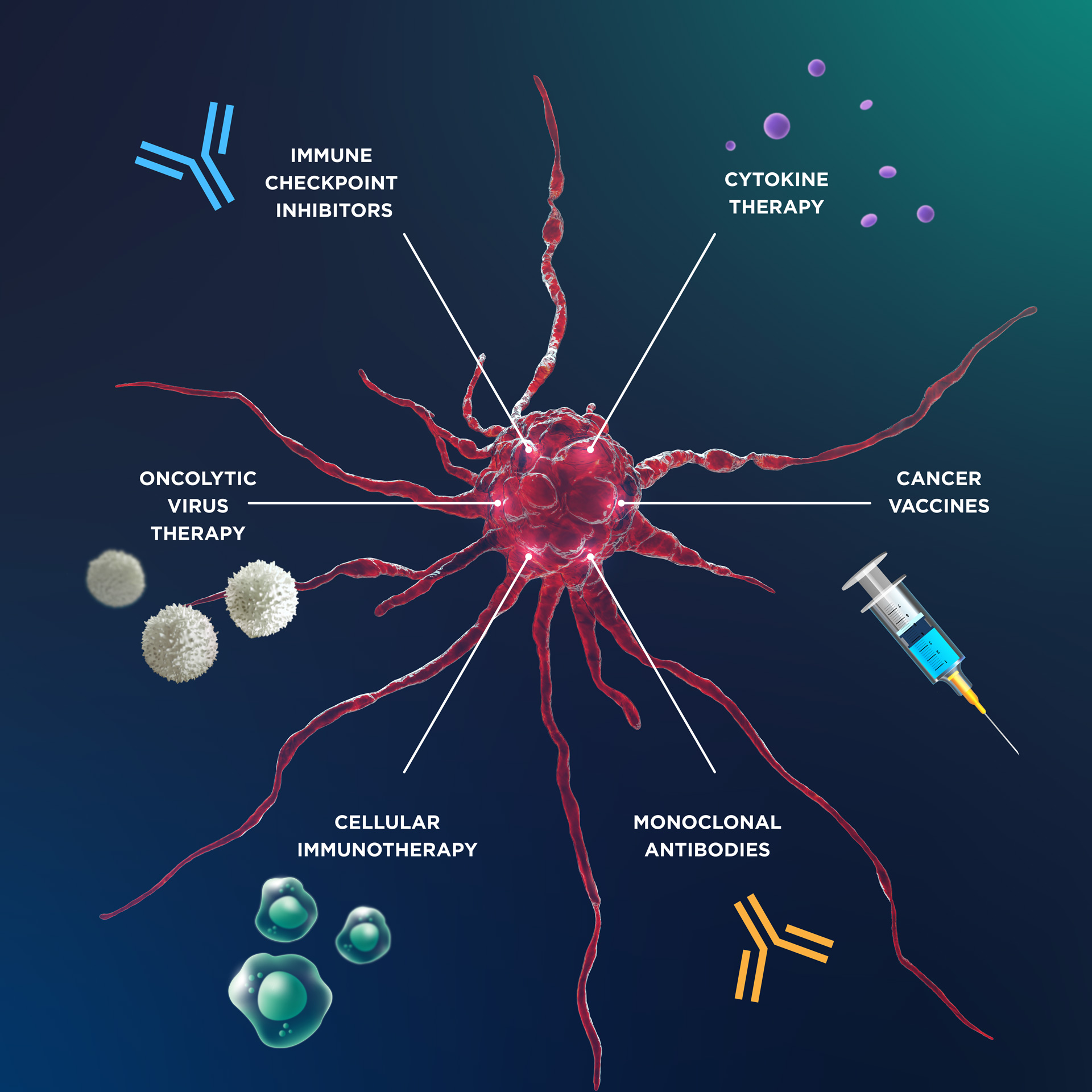 A tumor is surrounded by the different types of cancer immunotherapy